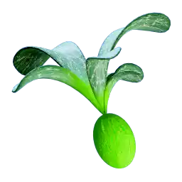 Cherimoya Rotsac Fruit