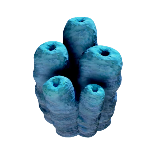 Poison tube cluster