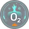 Oxygen Adsorption