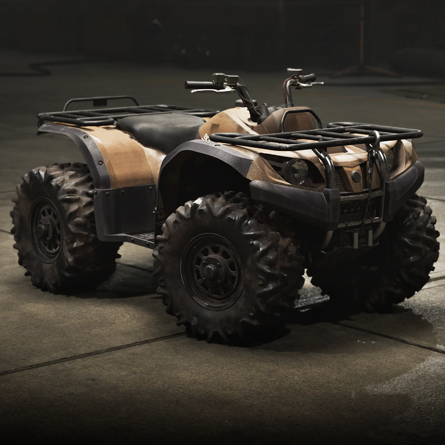 Two Tone Desert Bobcat