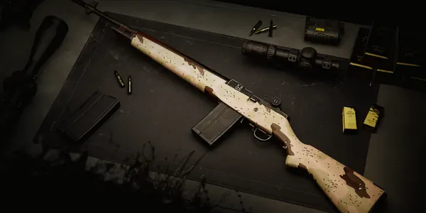Chocolate Chip M14