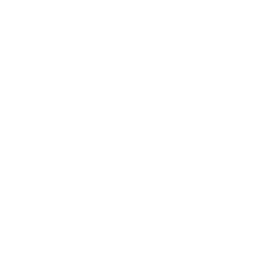 Driver