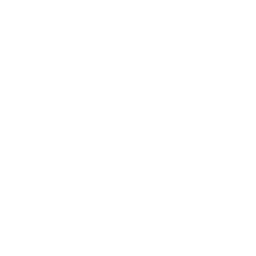 Recon
